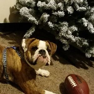 Meet your Posher, Jeff